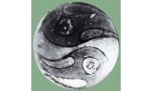 Disco con pesci  diam. cm. 10 FSL 1906-1920
