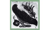 Piastrella con uccellino  lato cm. 7,5  Arte della Ceramica 1920 ca.