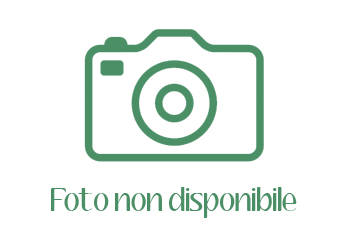 Primavera ( Quattro stagioni ) Primavera ( Quattro stagioni )