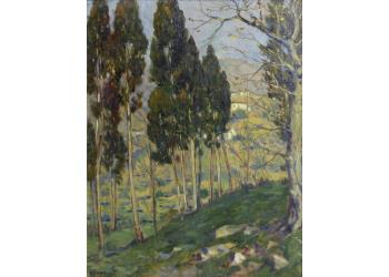 I cipressi di Reticaia I cipressi di Reticaia