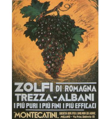 Zolfi di Romagna
