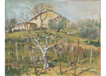 Campagna di Merlaia Campagna di Merlaia
