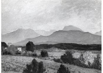 Campagna con la veduta delle Apuane Campagna con la veduta delle Apuane