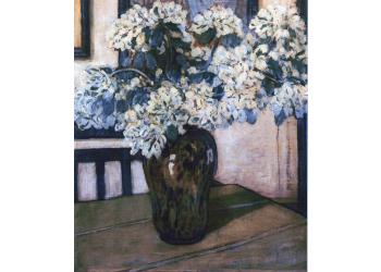 Fiori Fiori