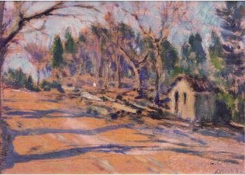 Strada nel bosco Strada nel bosco